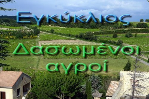 More information about "Εγκύκλιος ΥΠ.ΕΝ για τους δασωμένους αγρούς"